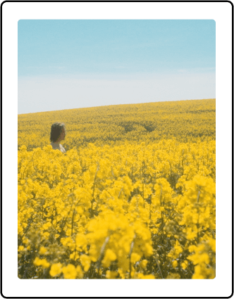 Mov - Movie